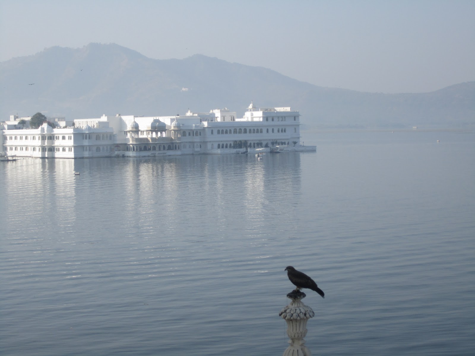 ... : Udaipur, India - photo gallery l Best Photos Of Udaipur Lack City