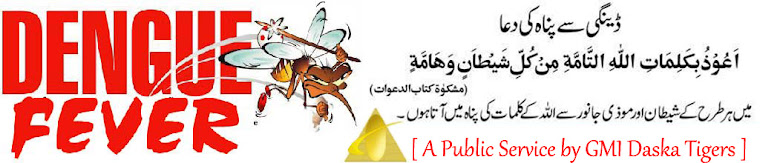 GMI Daska [ Tigers ]
