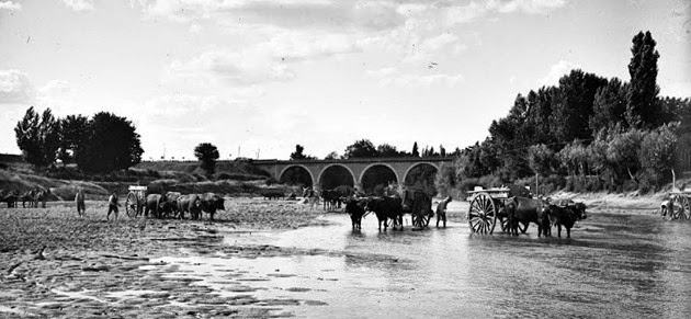 Manzanares por Puente de los Franceses