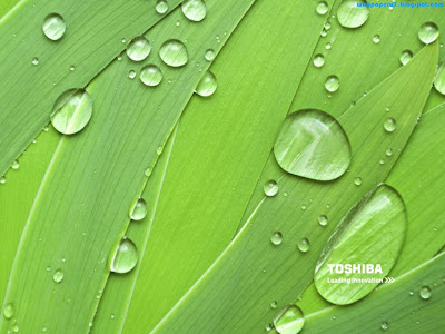 Toshiba Standard Resolution Wallpaper 4