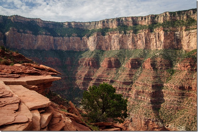 Arizona 808