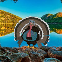 G2R Save The Wild Turkey