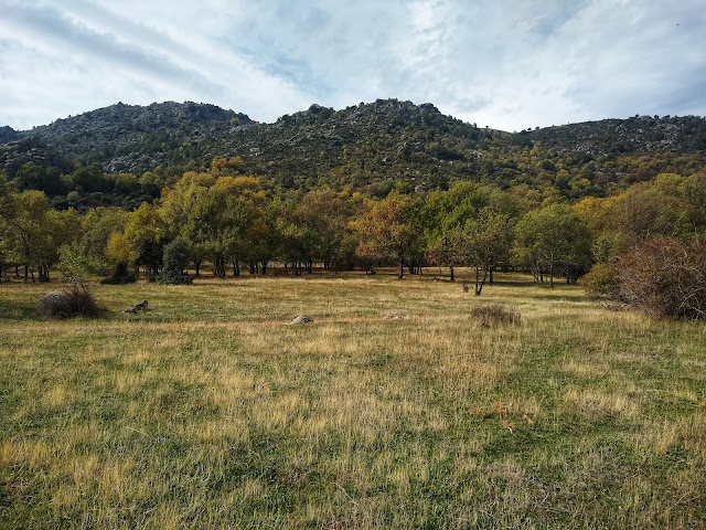 Camino Los Ermitaños