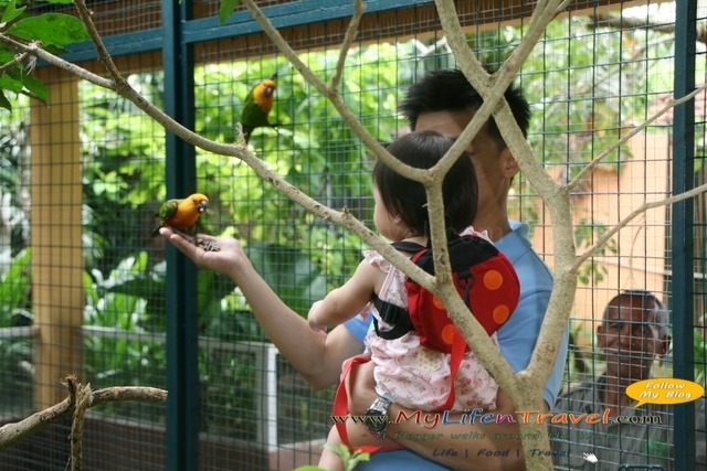 Langkawi Wildlife Park