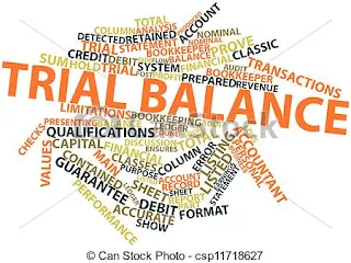 7 Importance Of Trial Balance