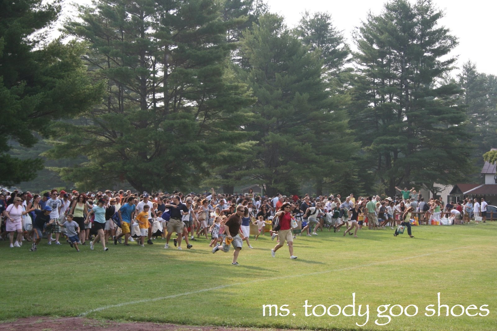 Letters From Camp: "What I Need For Visiting Day" by Ms. Toody Goo Shoes