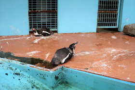 和歌山城 お城の動物園