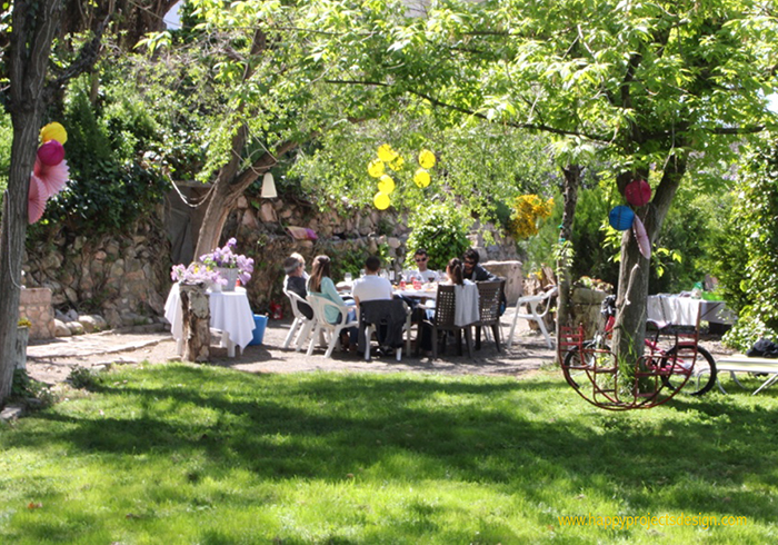 cumpleaños en el jardín