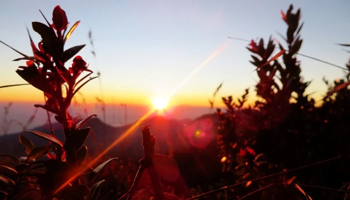 Sunrise RInjani