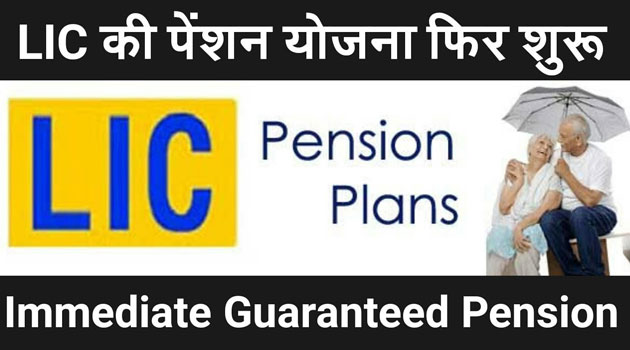 LIC Senior Citizen Pension Policy