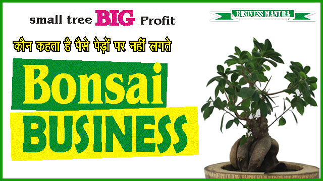 5 हजार से शुरू करें लकी बाम्बू का बिजनेस : good lucky bamboo business कर देगा मालामाल