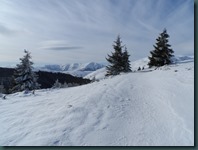 SAM_0182