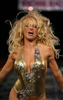 Pamela Anderson  photo