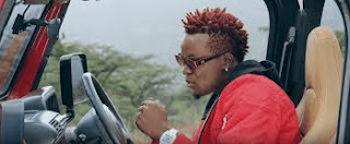 New Video|Willy Paul Ft Avril-Coco|Download Mp4 Video 