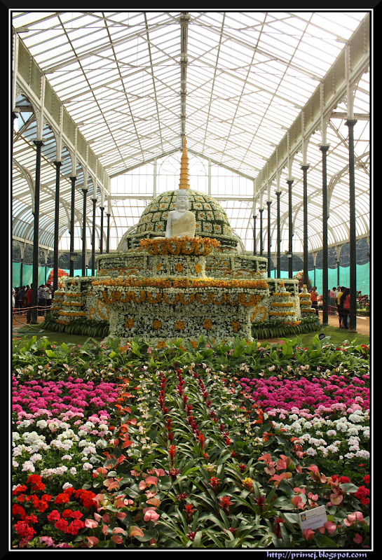 Lalbagh Flower Show January 2012