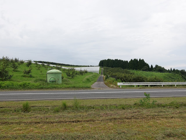 グリーンパーク大山ゴルフ倶楽部に向かい遊歩道を歩きます