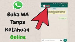 Cara Menyembunyikan Status Whatsapp