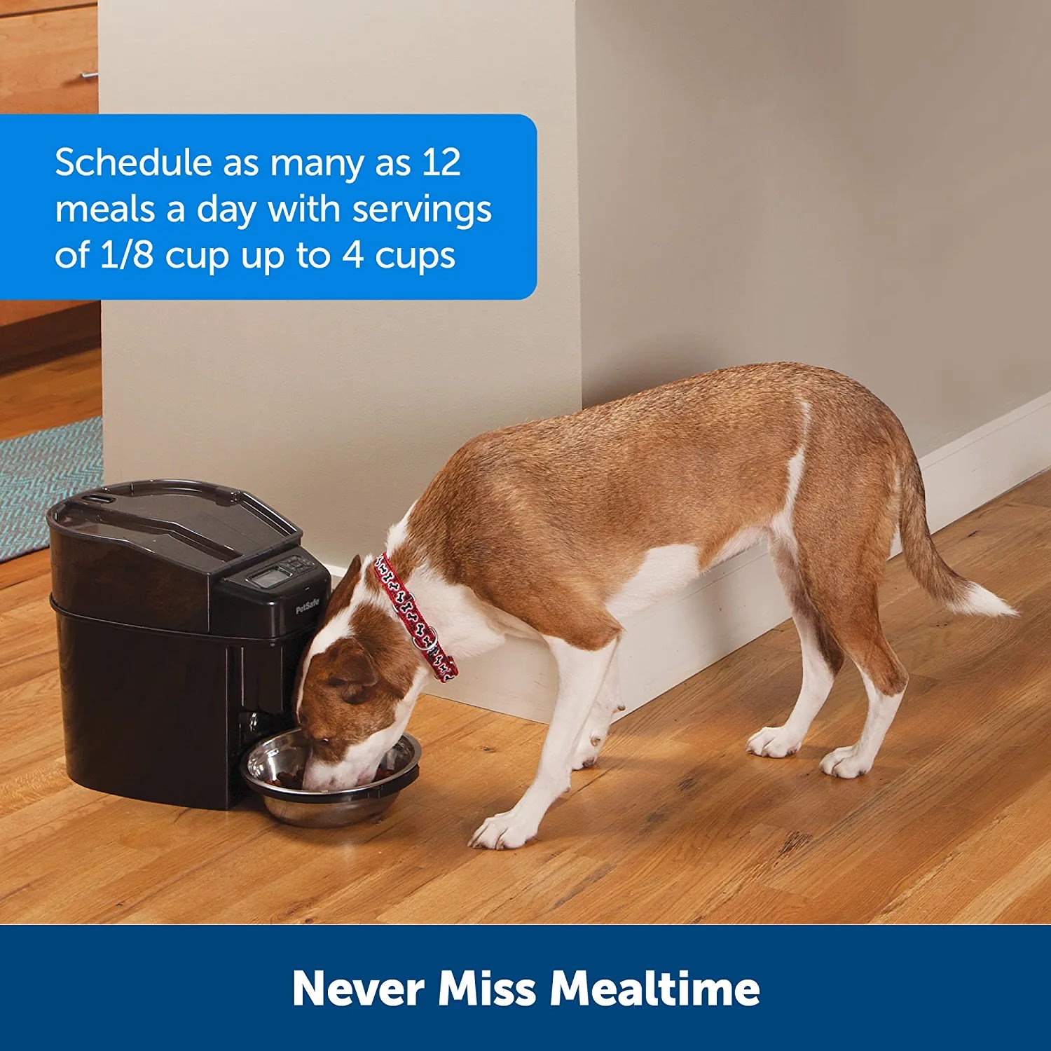 PetSafe 24-Cup Capacity Dog Food Dispenser