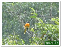 20110826_100350_001