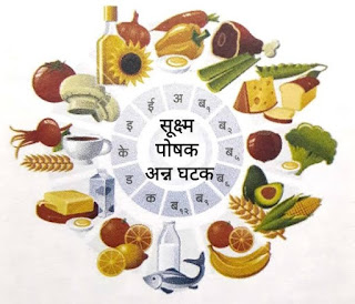 Micro Nutrients mahiti in marathi
