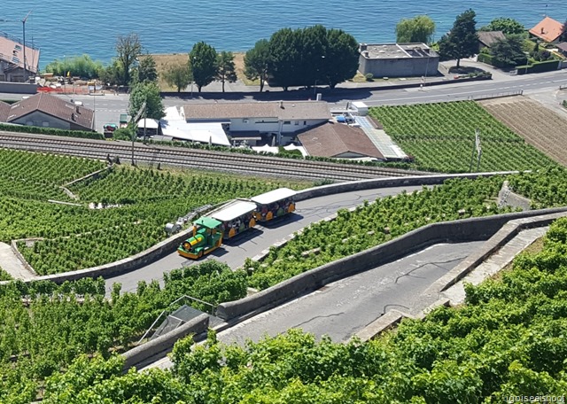 The Lavaux Express making its way up the winding terraces. The Lavaux Express making its way up the winding terraces.