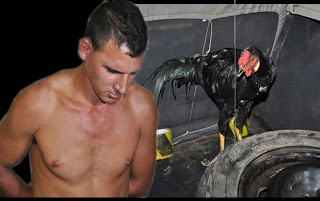 Polícia prende ladrão de galinha na hora em que ele ia matar sua vítima pra comer