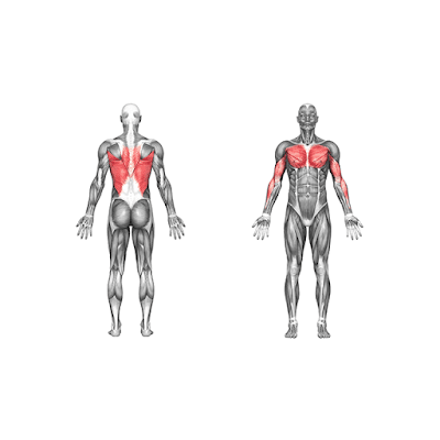 Chin-Ups_4_sets_and_12/10/8/6_reps