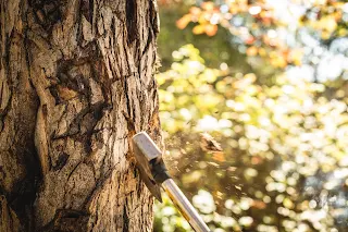 Sharpen your axe. ax, axe, sharp your axe,