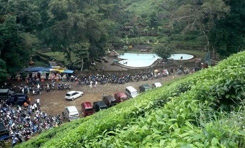 Pesona Keindahan Wisata Kebun Teh Jamus Ngawi Ihategreenjello