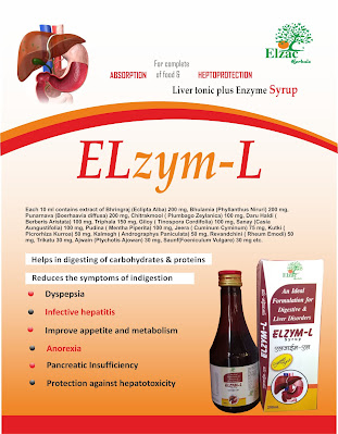 ayurvedic liver plus enzyme syrup