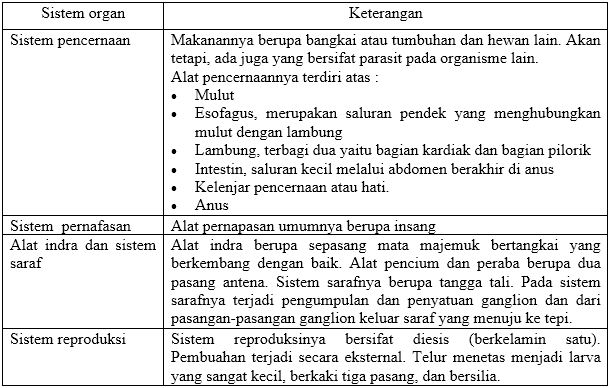 Apa yang Dimaksud Filum Arthropoda ? Karakteristik, Ciri Morfologi, Anatomi dan Fisiologin !