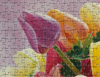 Ravensburger puzzle