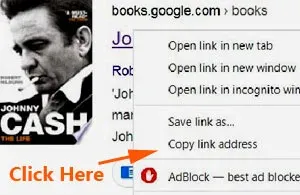 How To Save Google Books Preview In PDF