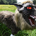 Super Monster Wolf a success in Japan