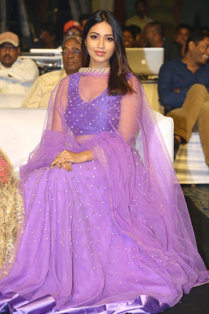 Nivetha Pethuraj in Purple Netted Dress