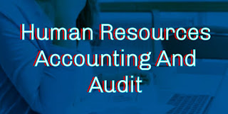 Human Resources Accounting And Audit