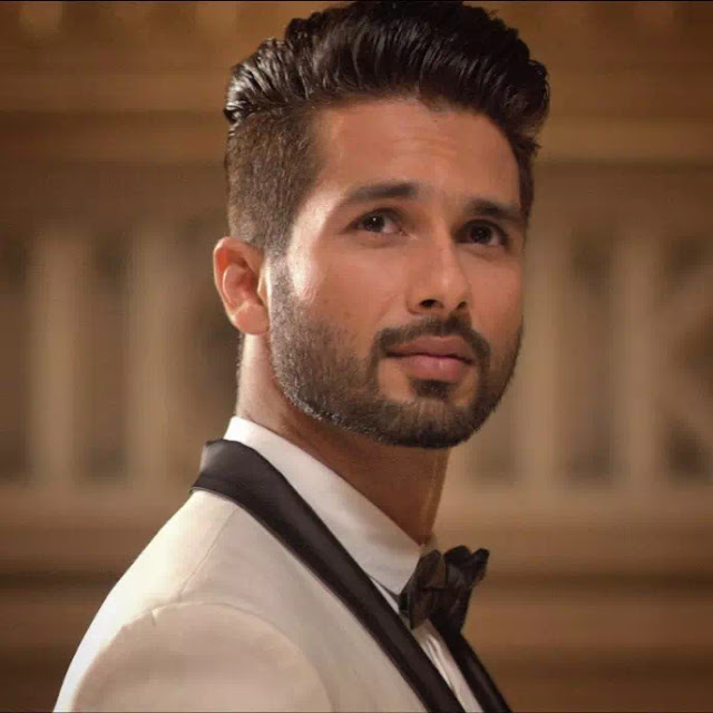 Shahid Kapoor Pompadour Hairstyle