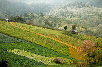 thailand tourism Phu Thap Boek