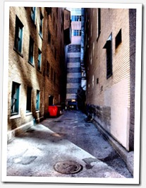 The alley