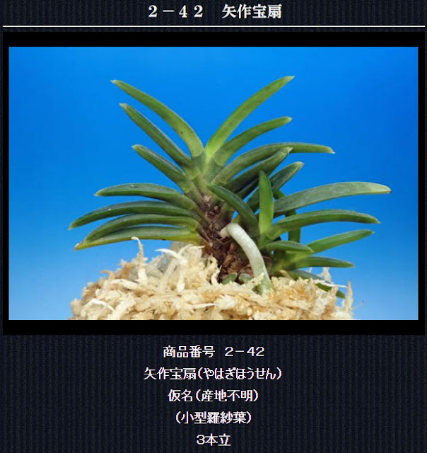  http://www.fuuran.jp/2-42.html