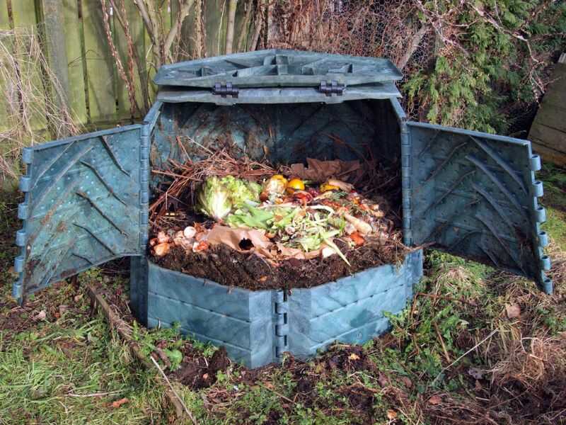 How to use kitchen waste for gardening
