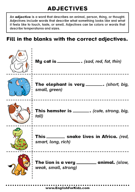 Adjectives worksheet - English exercises for kids