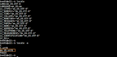 locale change to enutf8