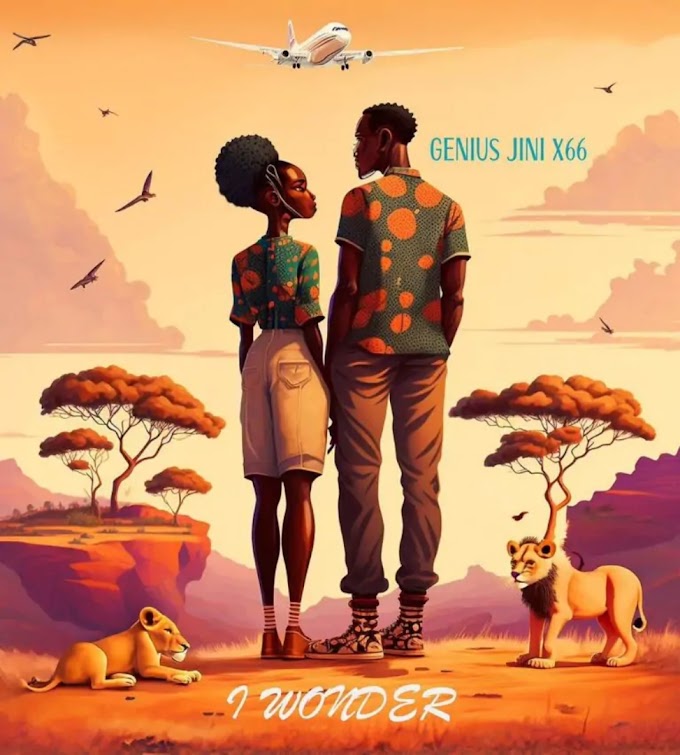 Download Audio : Genius Jini X66 - I Wonder