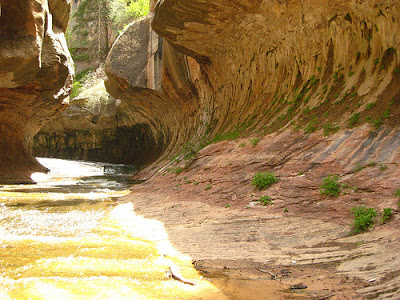 Zion National Park Picture Gallery