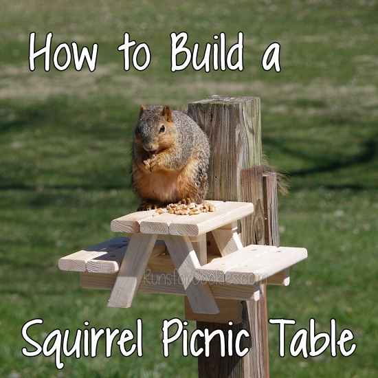runs for cookies: how to build a squirrel picnic table a