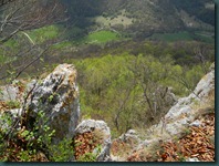 DSCN9564