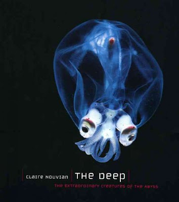 Book Jacket, The Deep