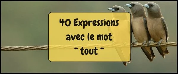 40 Expressions avec le mot tout