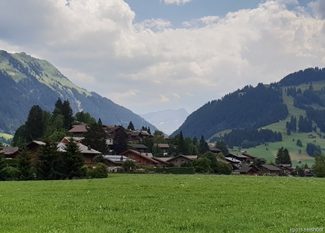 Walk from Gstaad to Saanen. Typical view of Saanenland. Green meadows and alpine mountains.